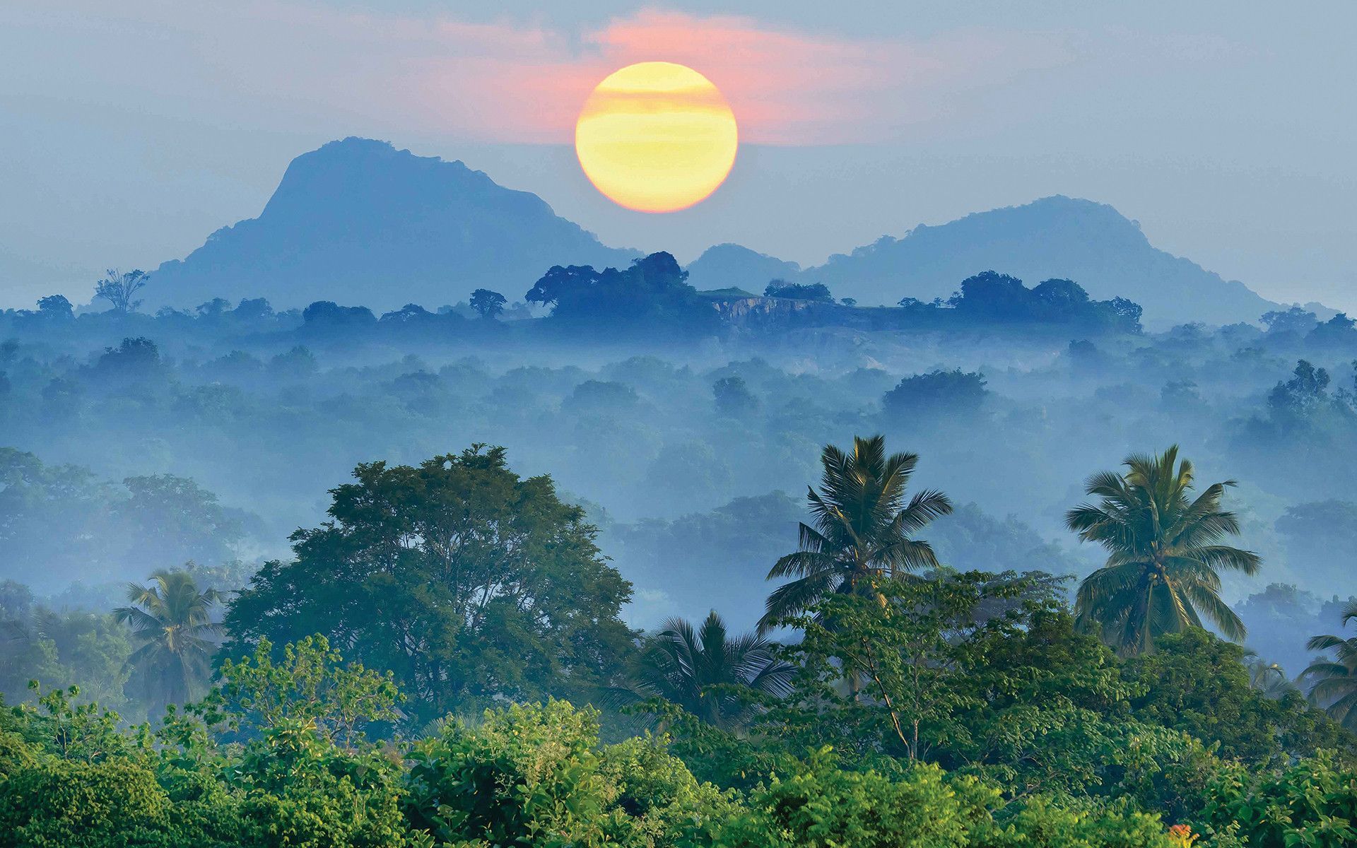 ΚΑΛΟΚΑΙΡΙ - ΦΘΙΝΟΠΩΡΟ ΣΤΗ ΣΡΙ ΛΑΝΚΑ