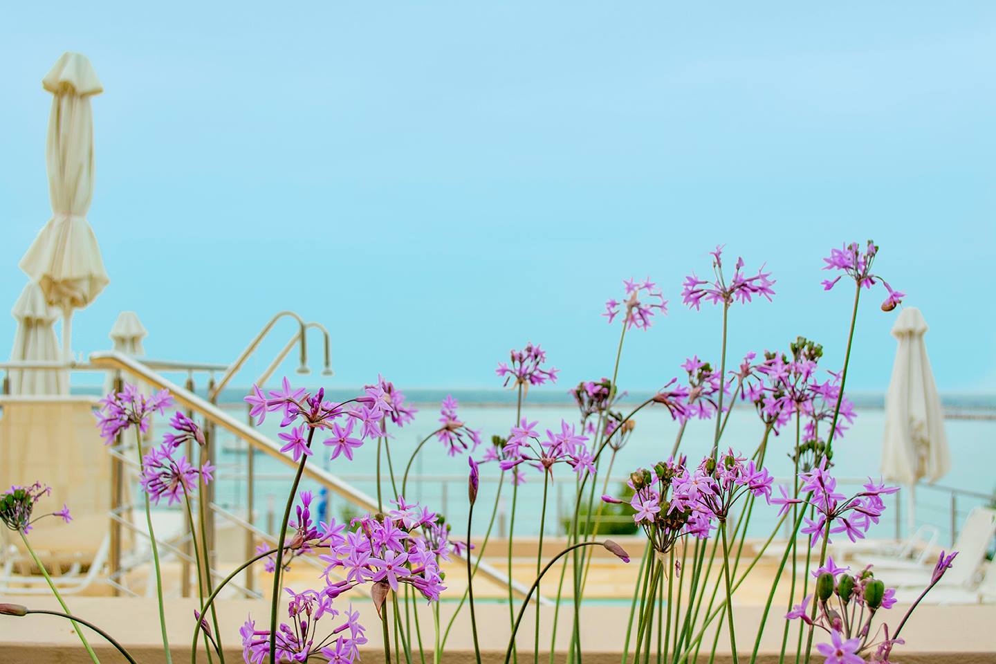 KYMI PALACE HOTEL 4* ΣΤΗΝ ΚΥΜΗ ΜΕ ΤΟ Ι.Χ. ΣΑΣ