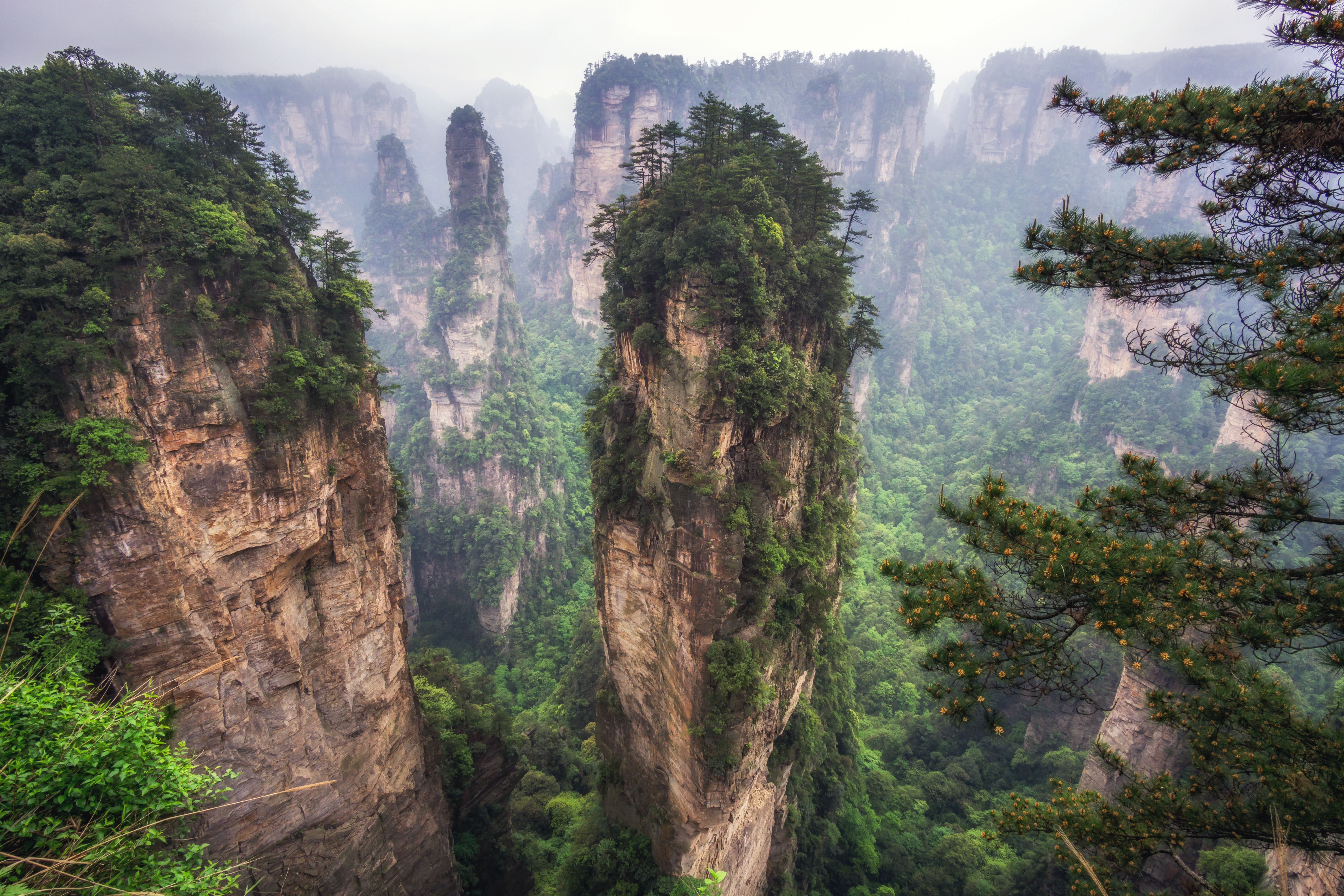 ΚΙΝΑ, ΣΤΑ ΜΑΓΙΚΑ ΤΟΠΙΑ ΤΟΥ AVATAR