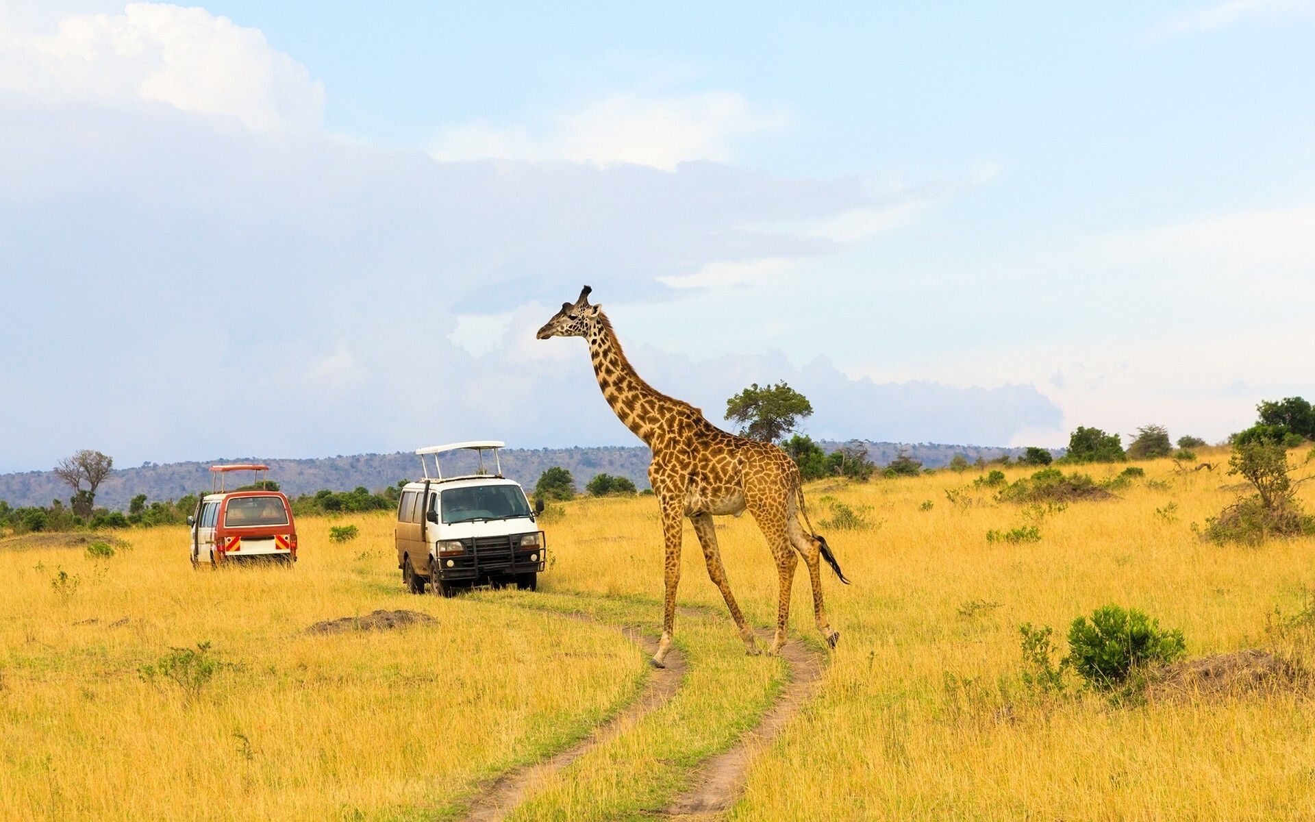 ΑΤΟΜΙΚΟ ΤΑΞΙΔΙ ΣΤΗΝ ΚΕΝΥΑ ΜΕ ΣΑΦΑΡΙ