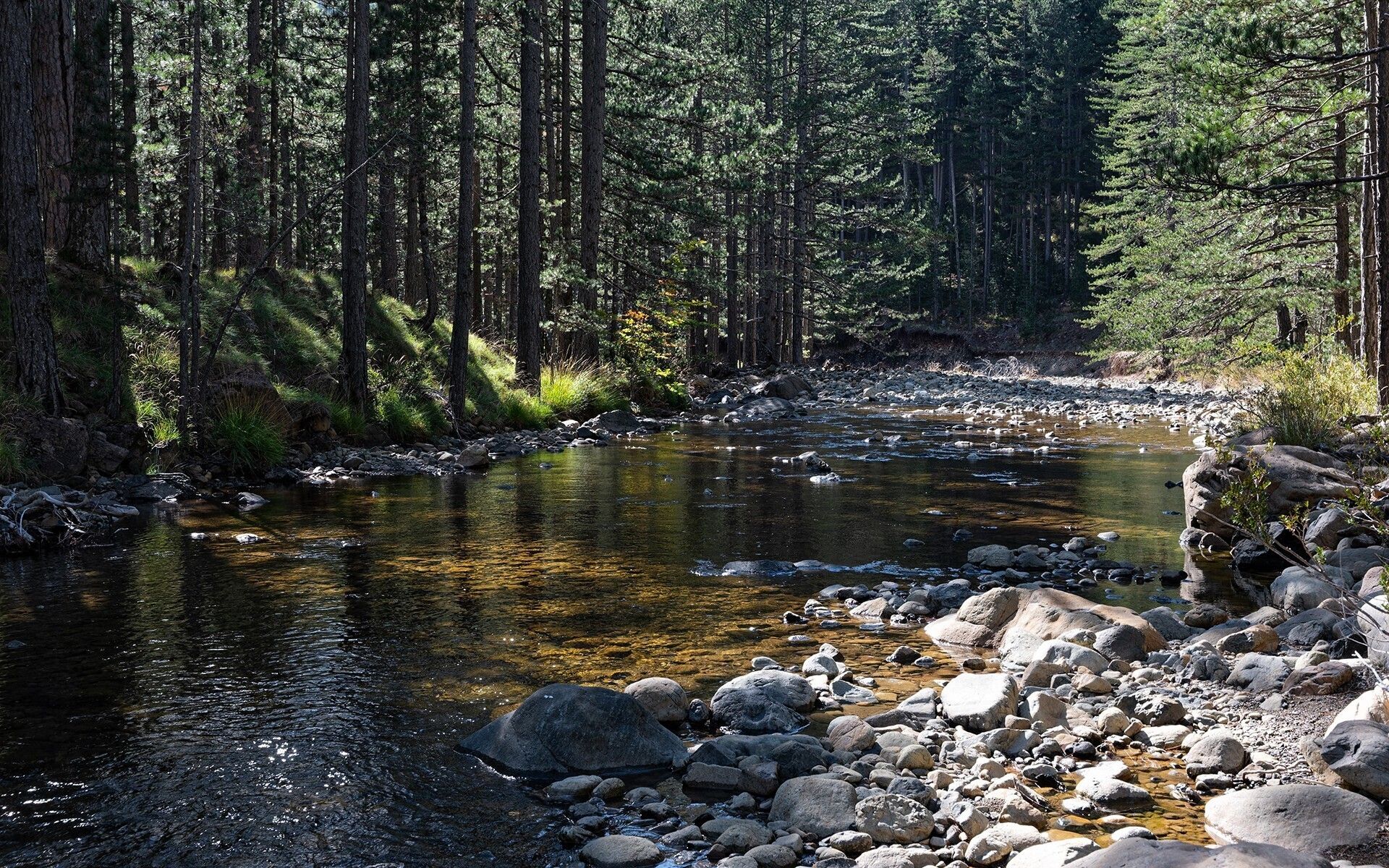 ΒΑΛΙΑ ΚΑΛΝΤΑ «Ο ΚΗΠΟΣ ΤΟΥ ΘΕΟΥ ΣΤΗΝ ΠΙΝΔΟ»