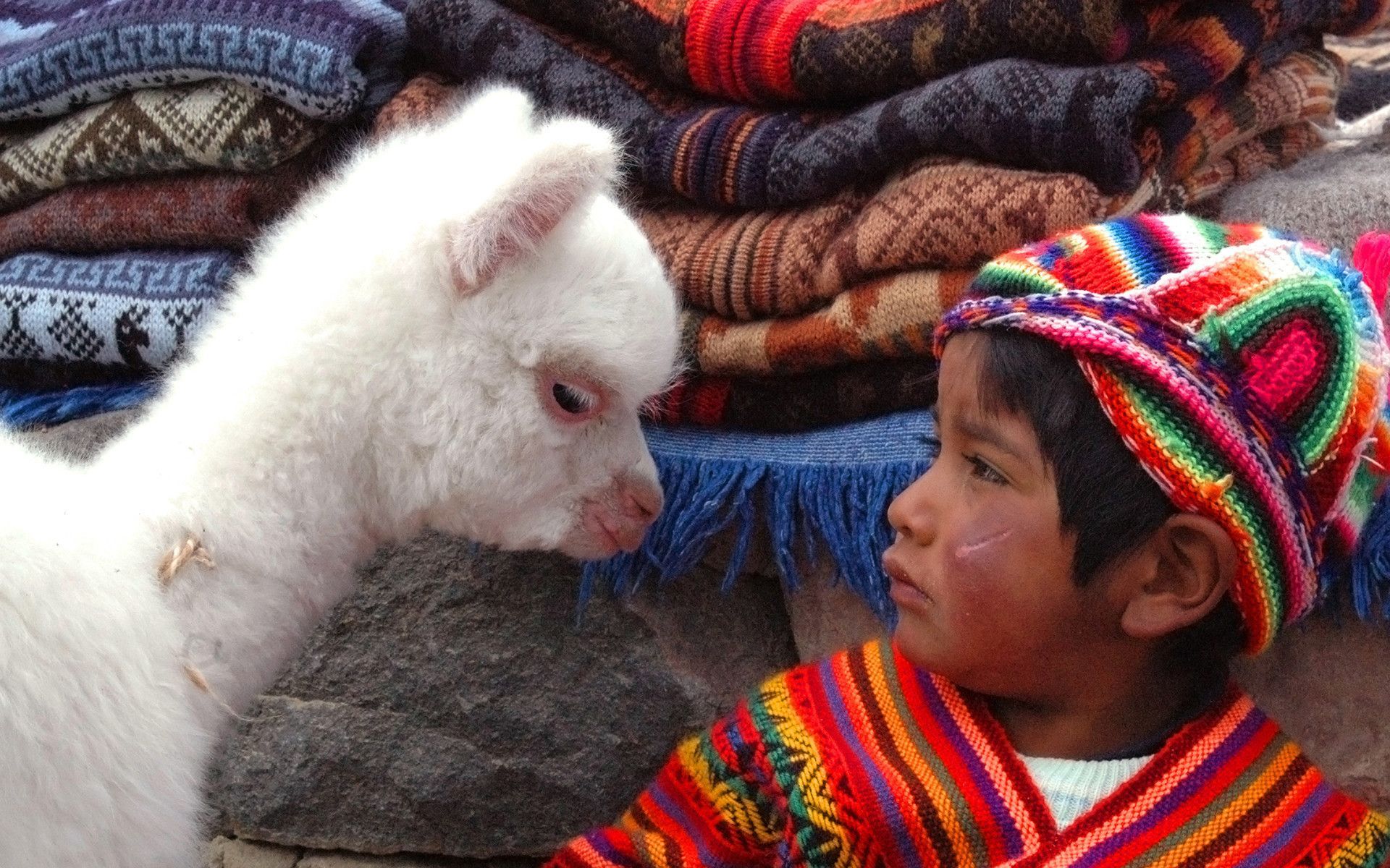 ΠΕΡΟΥ - ΑΡΕΚΙΠΑ: ΕΝΑ ΤΑΞΙΔΙ ΣΤΗΝ ΓΗ ΤΩΝ ΚΟΝΔΟΡΩΝ