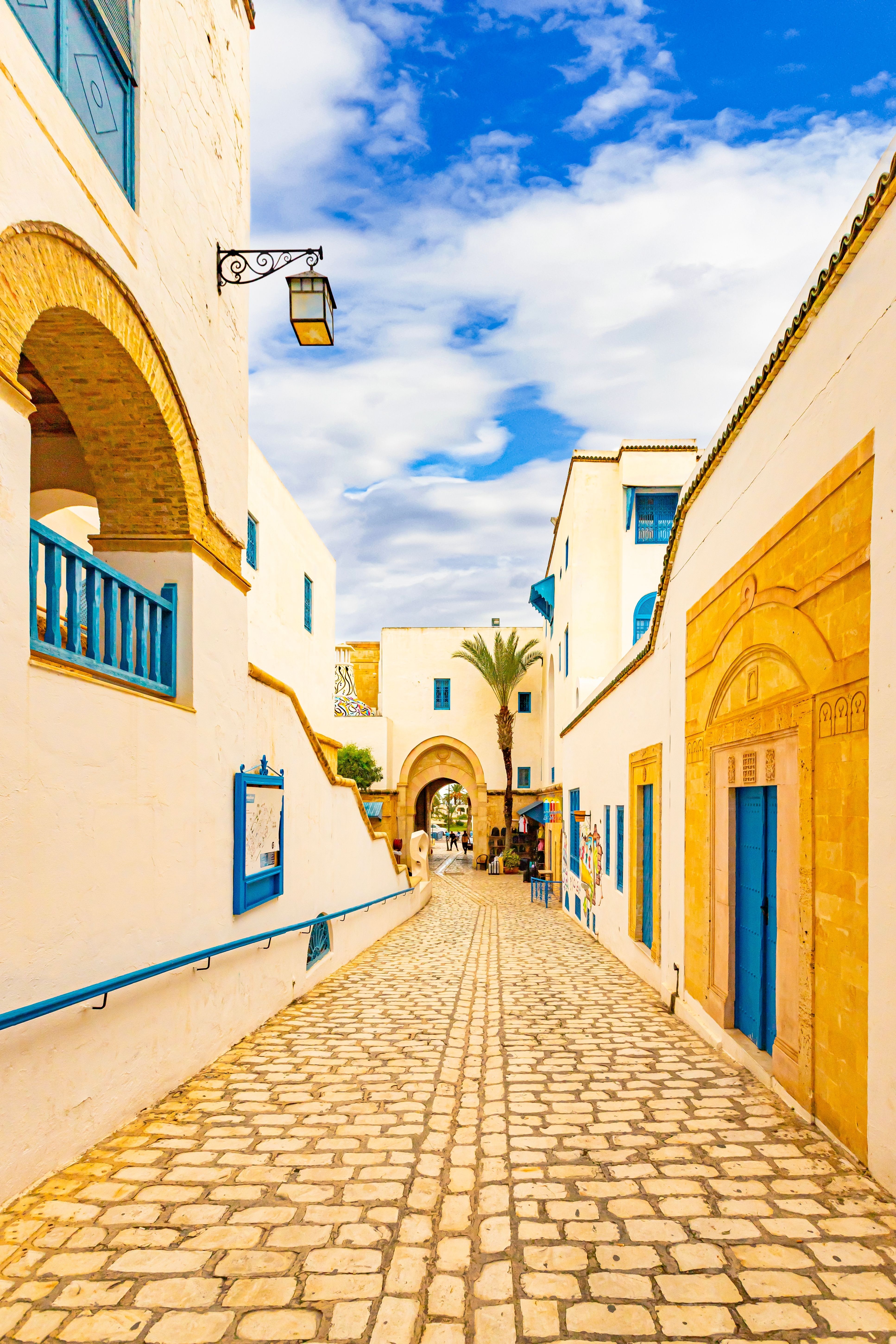 ΣΤΗΝ ΤΥΝΗΣΙΑ ΜΕ ΑΡΩΜΑ ΑΝΑΤΟΛΗΣ