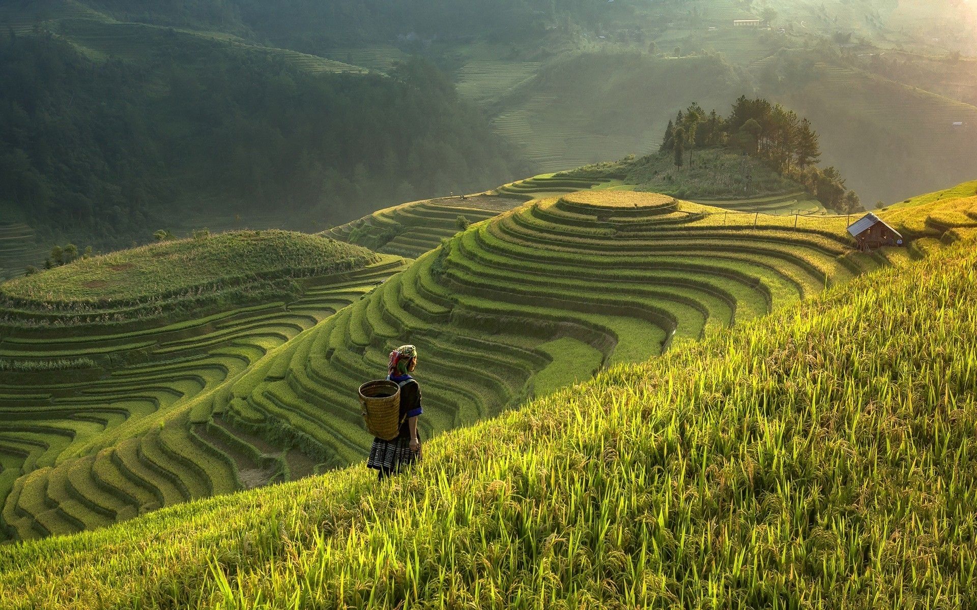ΑΤΟΜΙΚΟ ΤΑΞΙΔΙ ΣΕ ΑΝΟΙ & ΣΑΪΓΚΟΝ