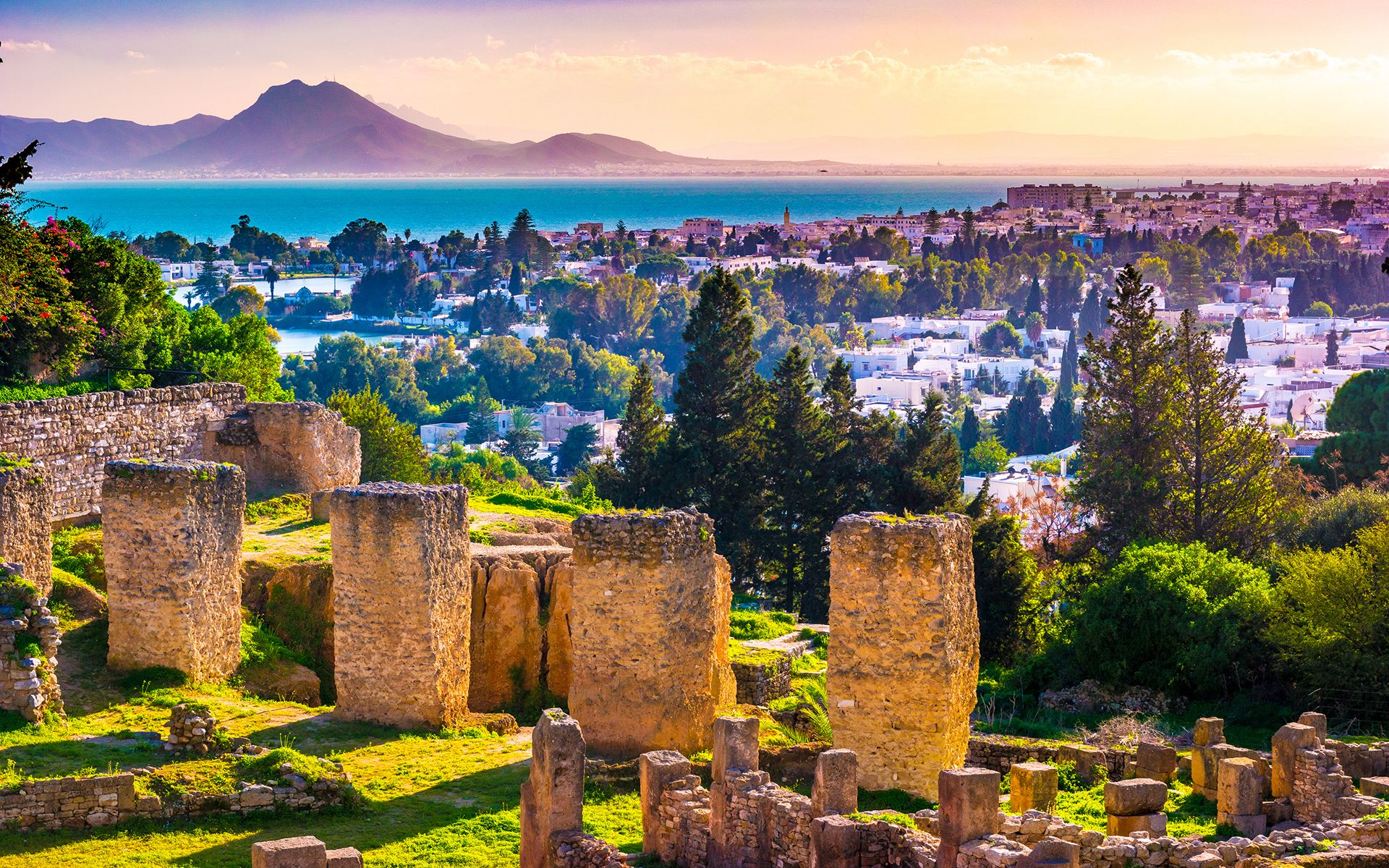 ΤΥΝΗΣΙΑ, ΓΥΡΟΣ ΟΑΣΕΩΝ ΚΑΙ ΕΡΗΜΟΥ