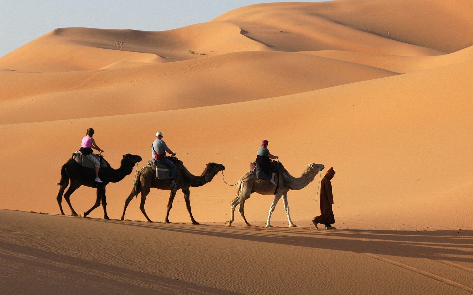 ΜΑΡΟΚΟ ΜΕ ΚΑΖΑΜΠΛΑΝΚΑ, ΤΑΓΓΕΡΗ & ΣΕΦΣΑΟΥΕΝ